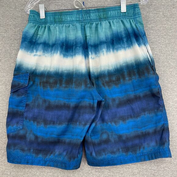 Speedo Swim Trunks Mens Small Blue Ombre Lined Board Shorts Beach Outdoor Lake - Picture 3 of 12